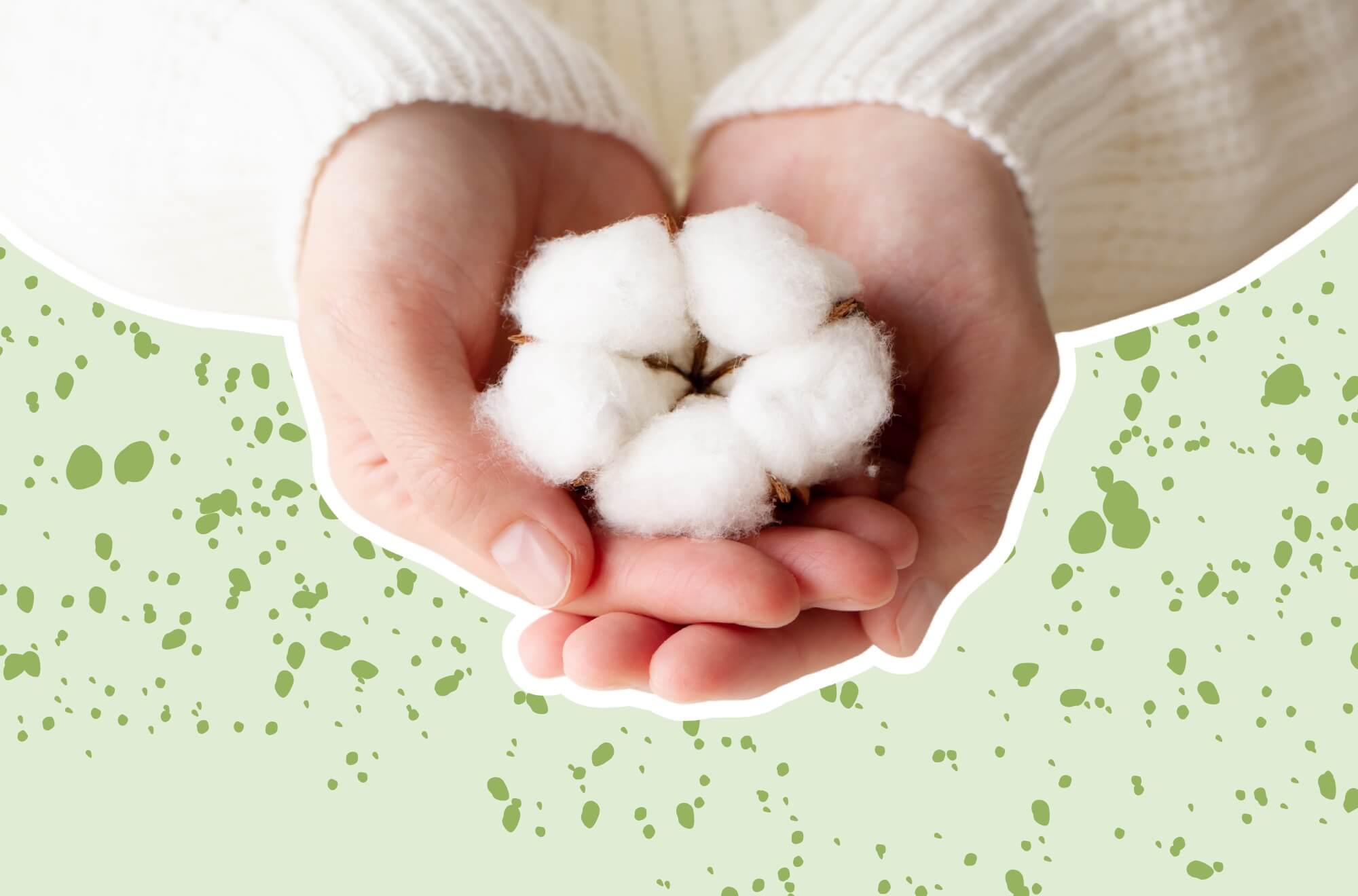 Descripción de la imagen