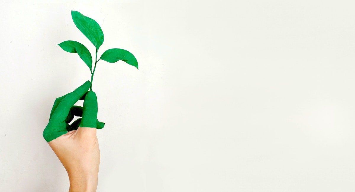 Descrizione dell'immagine